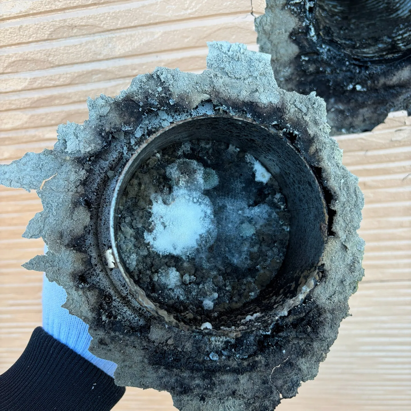 茅野市の皆さん、こんにちは!今日は特に嬉しいお知らせがありま...