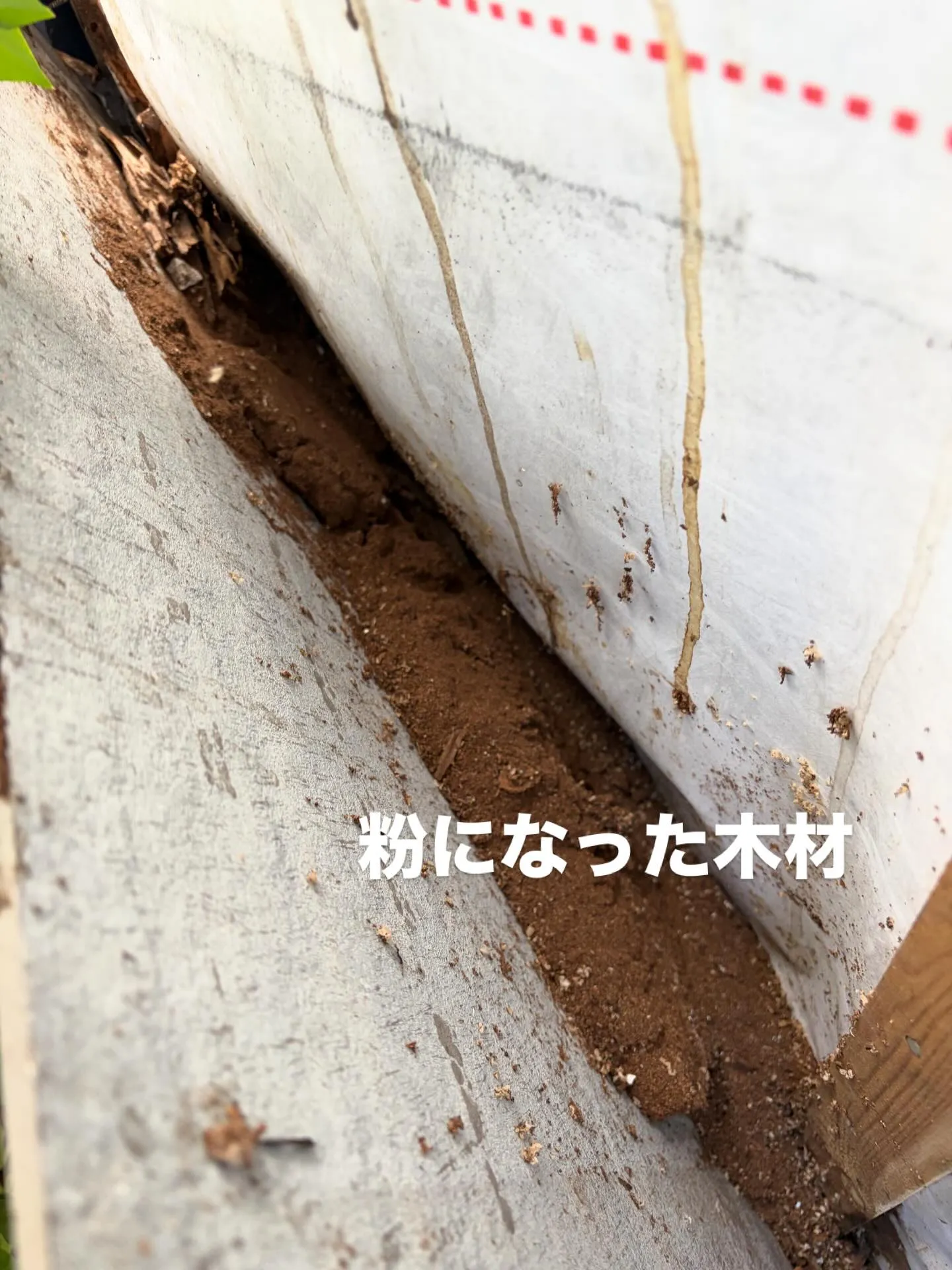 長年の雨漏りで柱から土台まで全てボロボロになってました。