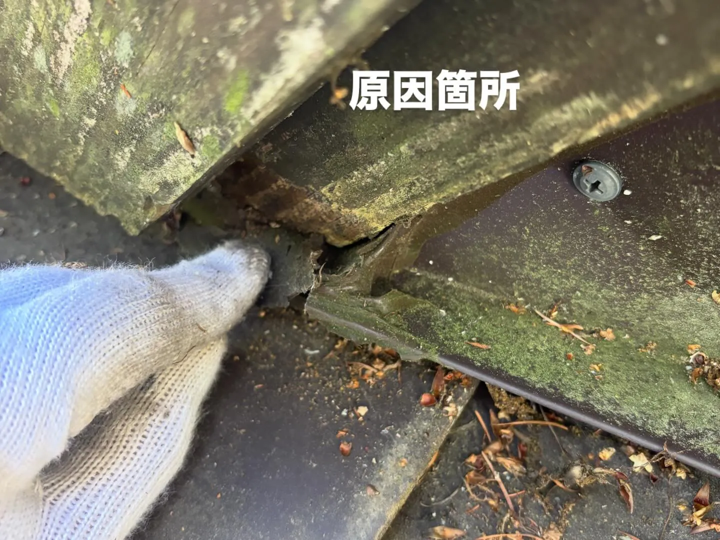 蓼科高原の別荘地で直接ご依頼いただきました。